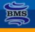 SİZDE BMS`Lİ OLUN