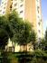 NİMET EMLAK tan Halkalı Atakent 2de güney cepheli 3+1 130000.-TL