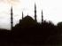 CAMİ HALISI