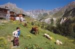 Artvin Resimleri 106
