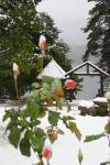 Bolu Mengen Resimleri 44