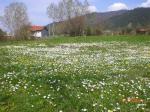 Bolu Mengen Resimleri 45