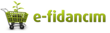 www.e-fidancim.com