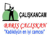 Çalışkan Cam