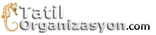 tatilorganizasyon