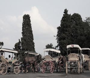 İstanbul Daily City Tours
