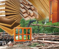 ÖZÇELİK AĞAÇ SANAYİİ İNŞ.MALZ.VE DIŞ TİC.LTD.ŞTİ.